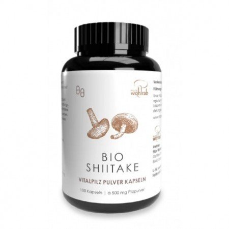 SHIITAKE (GRZYBY SUSZONE) BIO (SUROWIEC) (15 kg)