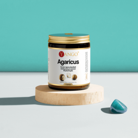 Agaricus - ekstrakt 10% polisacharydów - 50 g