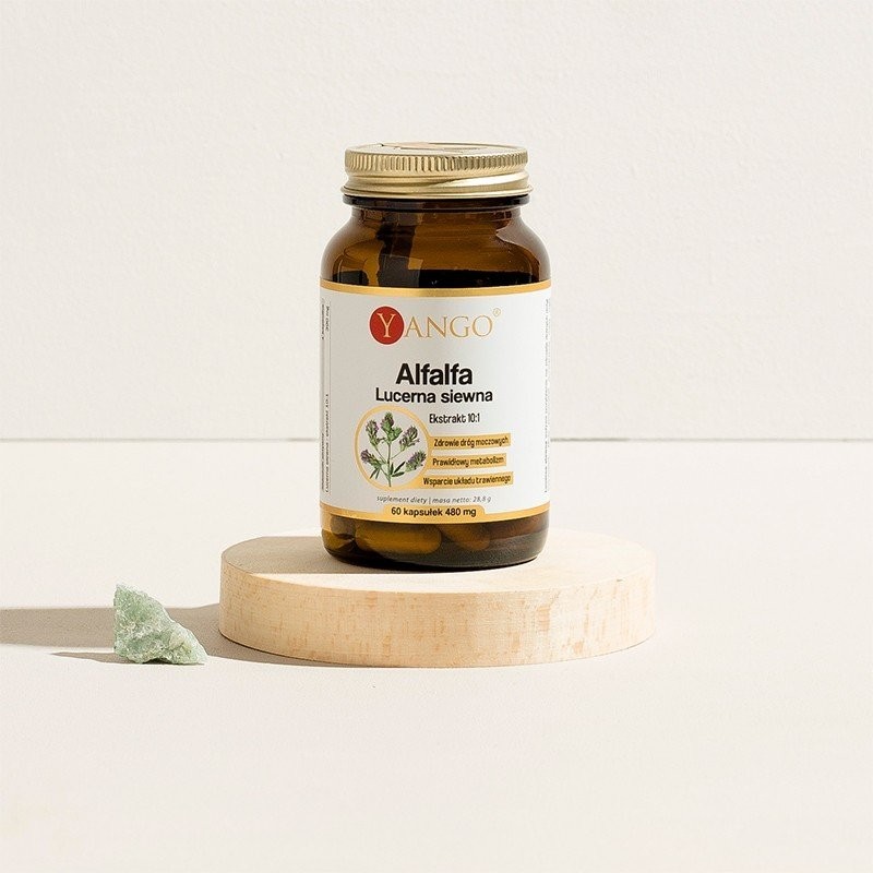 Alfalfa - Lucerna Siewna - 60 kaps.