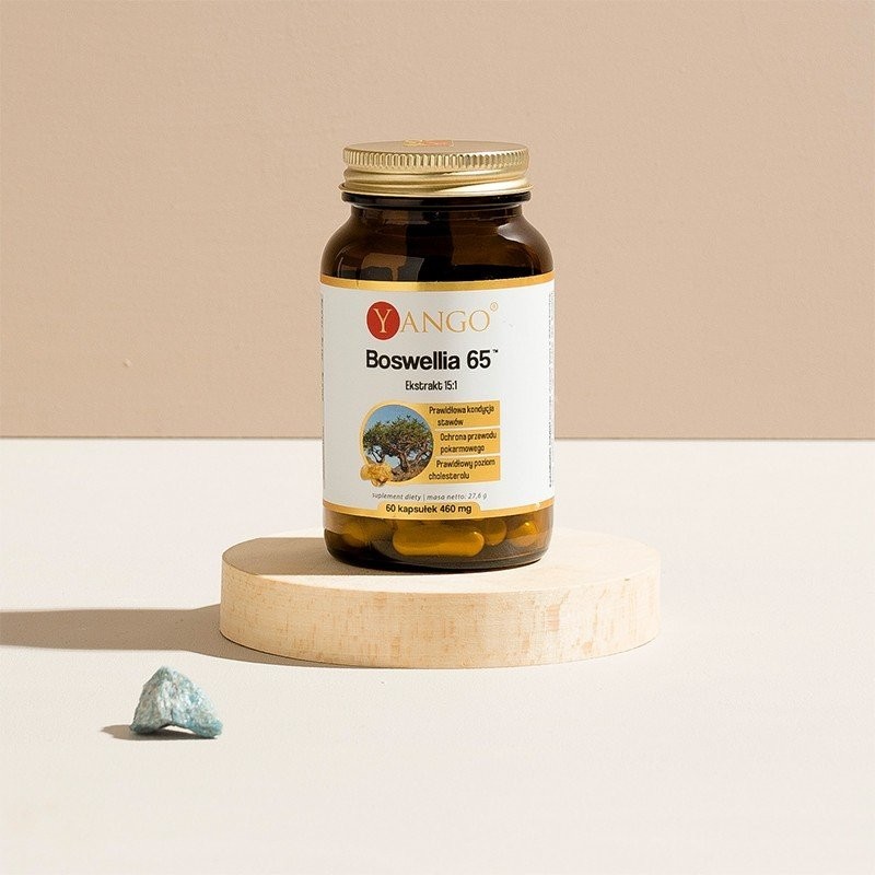 Boswellia 65 - ekstrakt 15:1 - 60 kaps.