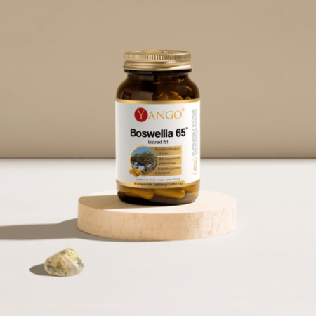 Boswellia 65 - ekstrakt 15:1 - 90 kaps.