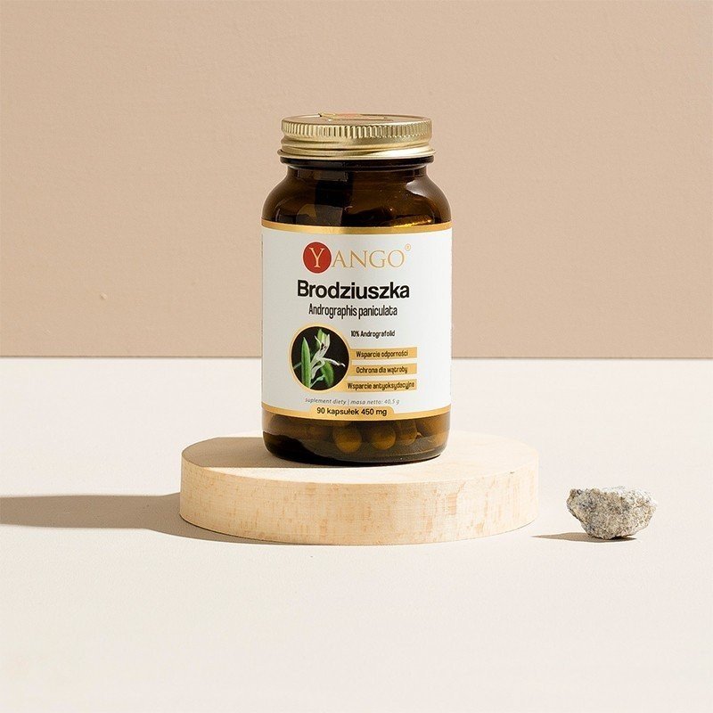 Brodziuszka - Andrographis paniculata - 10% andrografolid - 90 kaps.