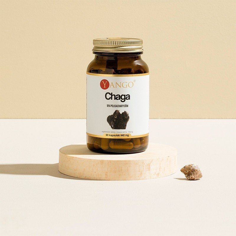 Chaga - ekstrakt 10% polisacharydów - 90 kaps.