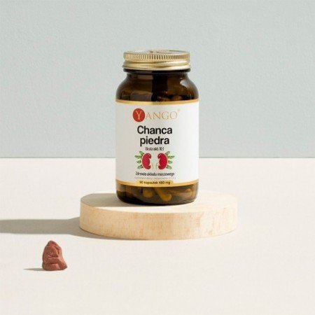 Chanca piedra - ekstrakt 10:1 - 90 kaps.