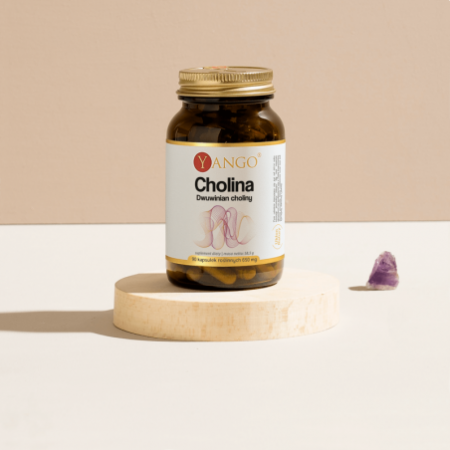 Cholina - Dwuwinian choliny - 90 kaps.