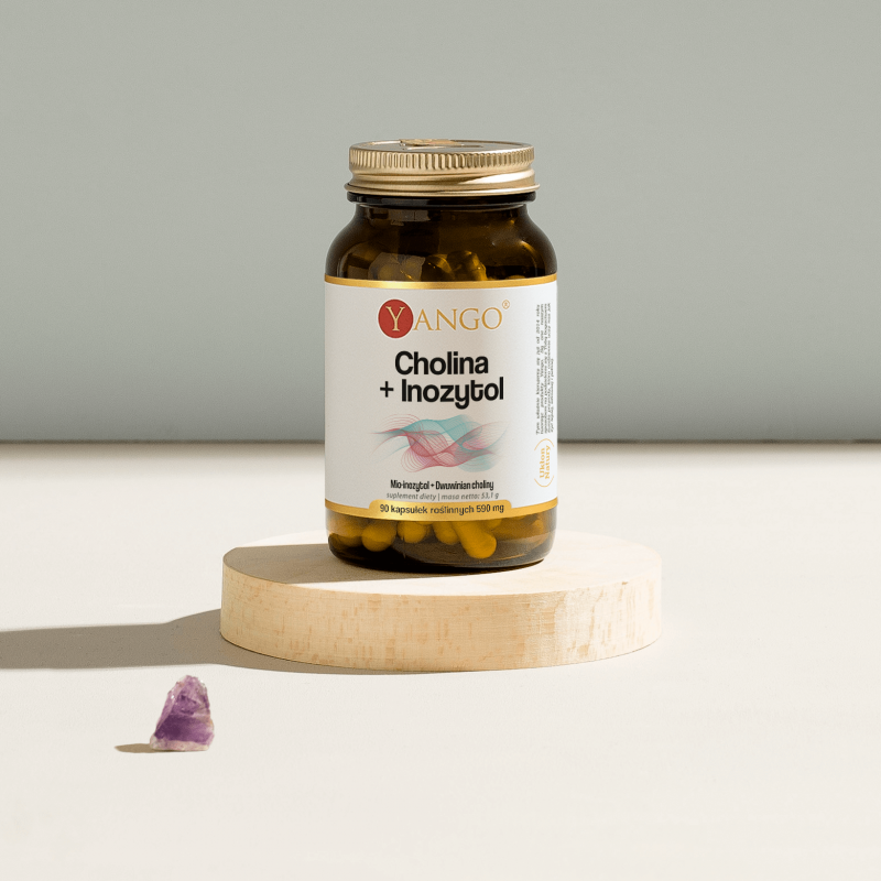 Cholina + Inozytol - 90 kaps.
