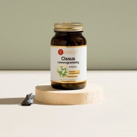 Cissus czworogroniasty - ekstrakt 10:1 - 90 kaps.