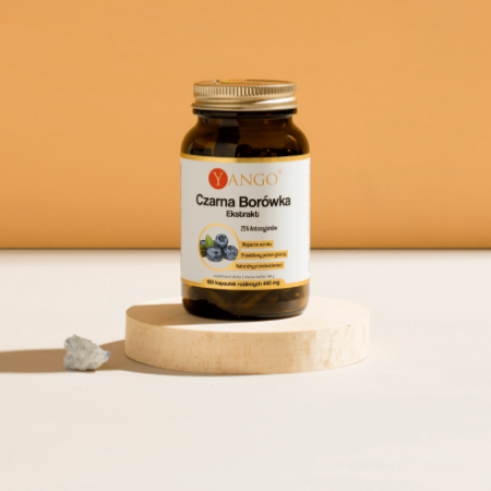 Czarna borówka - ekstrakt - 25% antocyjanów - 100 kaps.