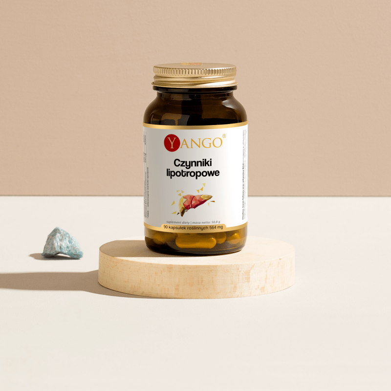 Czynniki lipotropowe - 90 kaps.