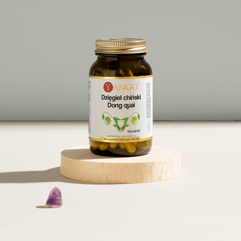 Dzięgiel chiński - Dong quai - 100 kaps.