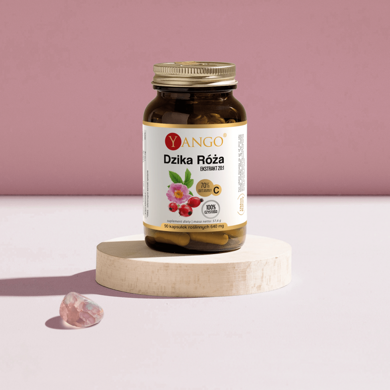 Dzika róża - ekstrakt 20:1 - 90 kaps.