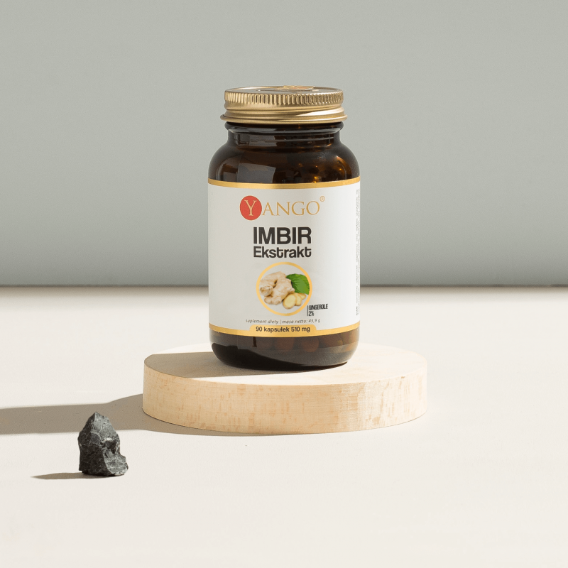 Imbir - ekstrakt 10:1 - 90 kaps.