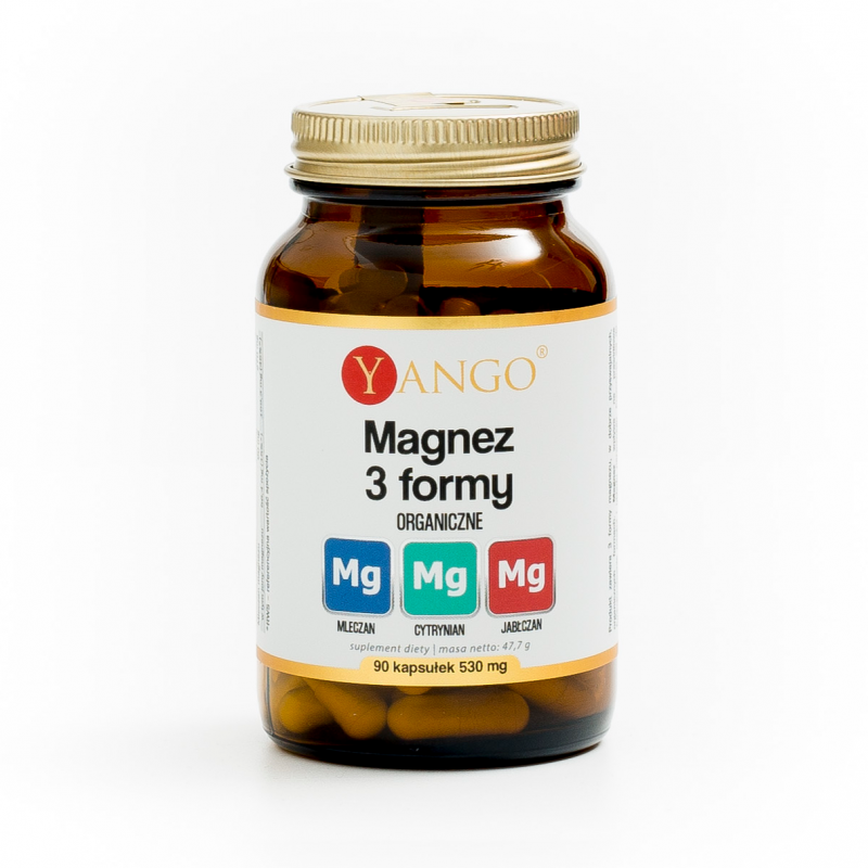 Magnez 3 formy - 90 kaps.