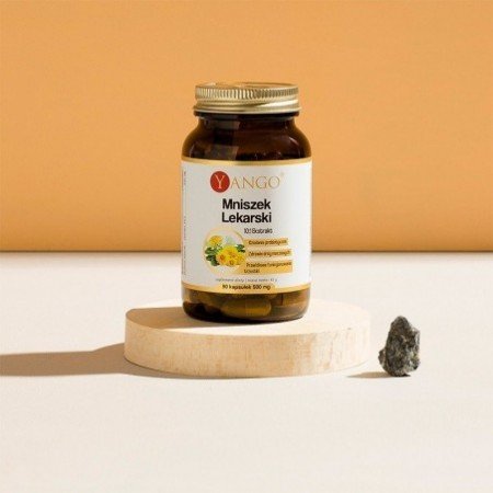 Mniszek Lekarski - ekstrakt 10:1 - 90 kaps.