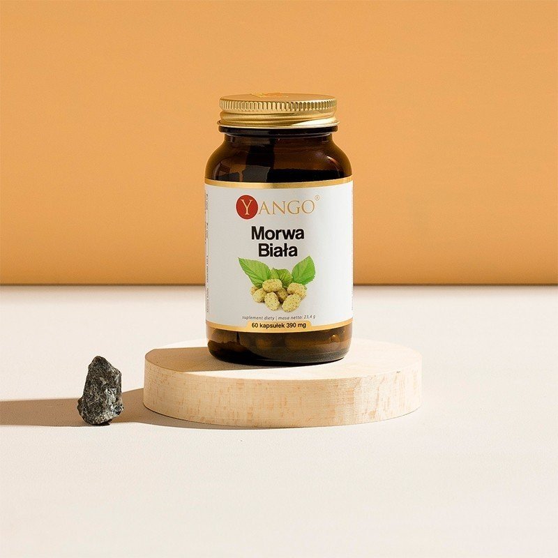 Morwa biała - ekstrakt 10:1 - 60 kaps.