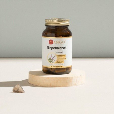 Niepokalanek - ekstakt 10:1 - 90 kaps.