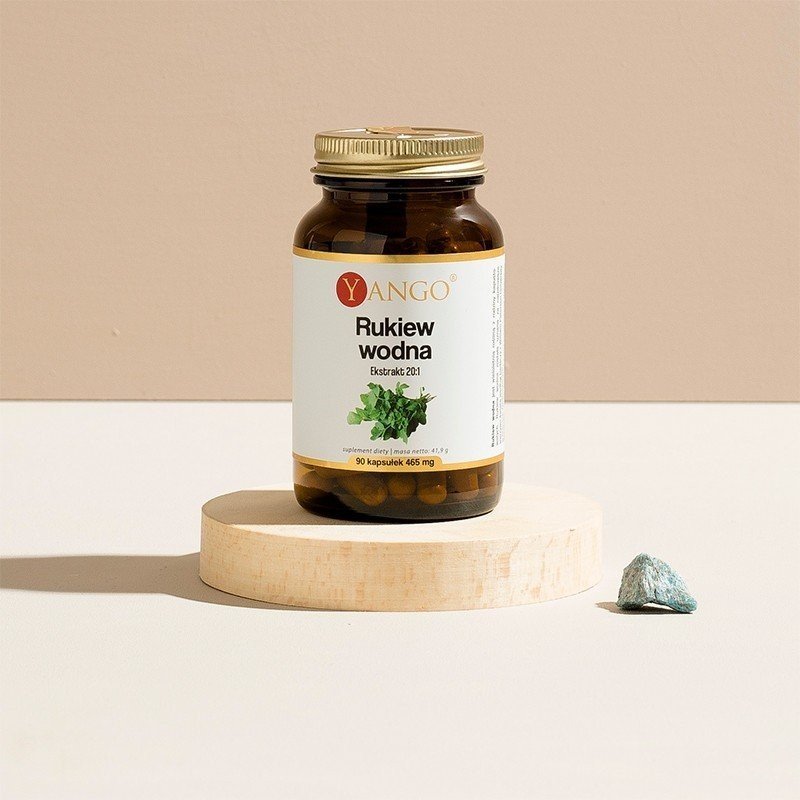 Rukiew wodna - ekstrakt 20:1 - 90 kaps.