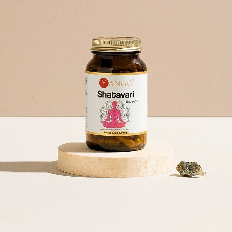 Shatavari - ekstrakt 10:1 - 90 kaps.