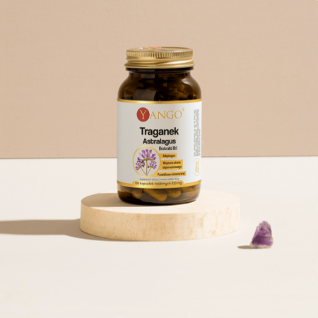 Traganek - Astralagus - ekstrakt 10:1 - 100 kaps.