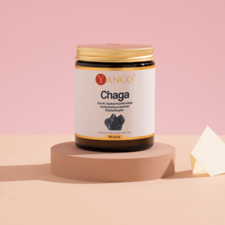 Chaga - 10% polisacharydów - 50 g