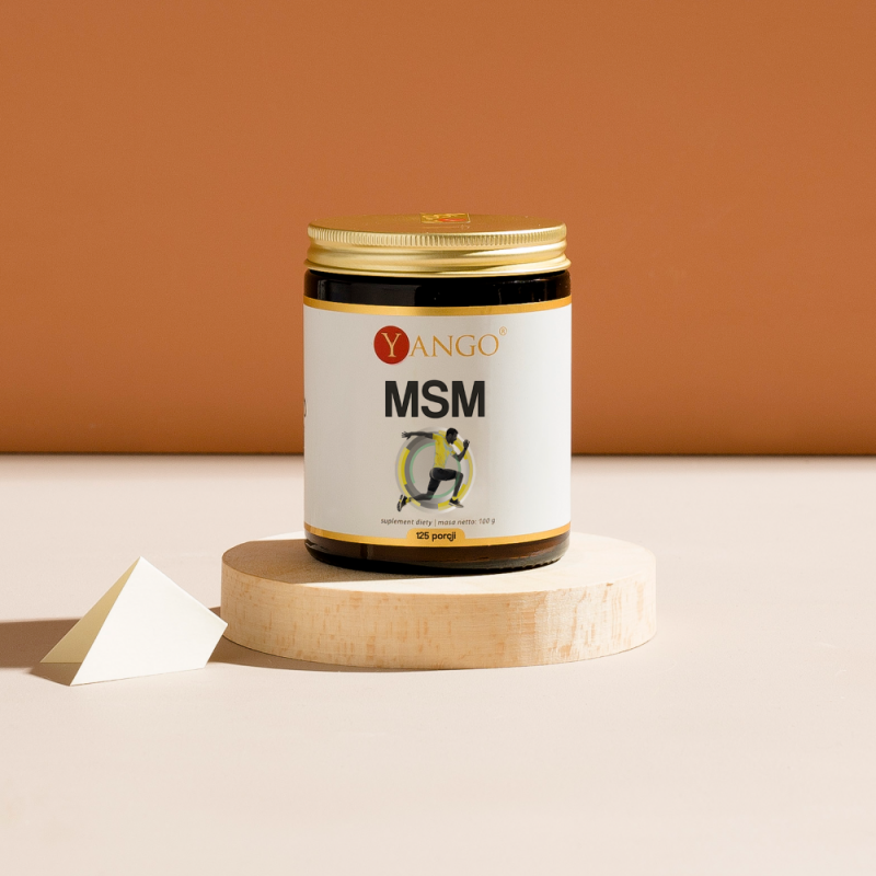 MSM - 100 g