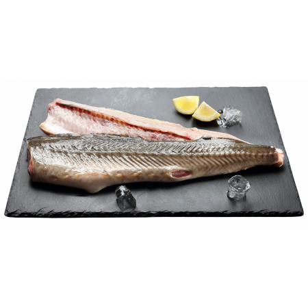 JESIOTR PŁAT (około 0,40 kg) - SMOLIN FISH (NA ZAMÓWIENIE)