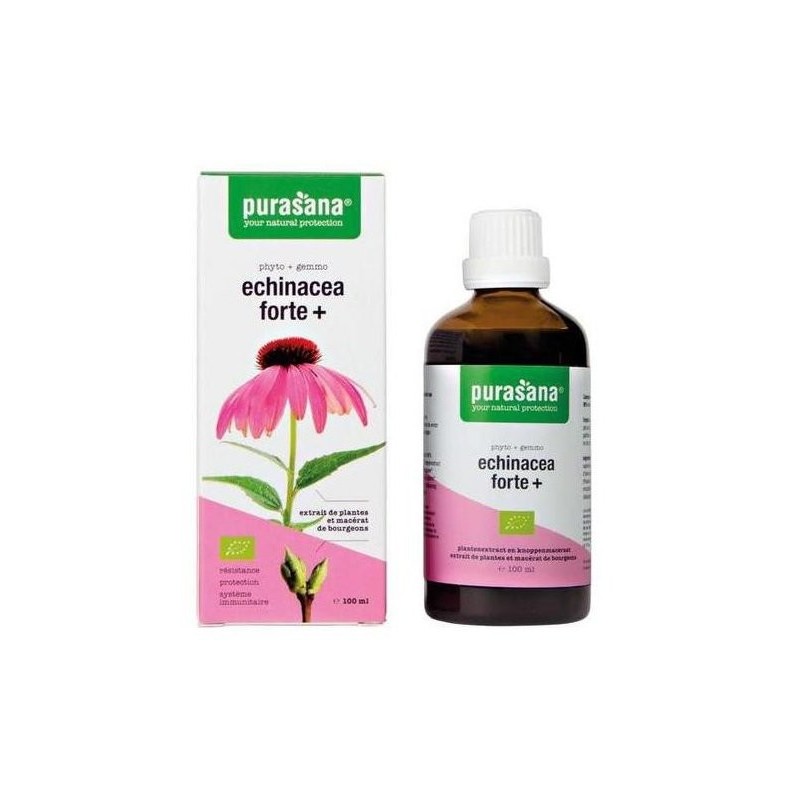 JEŻÓWKA PURPUROWA (ECHINACEA FORTE) KROPLE BIO 100 ml - PURASANA