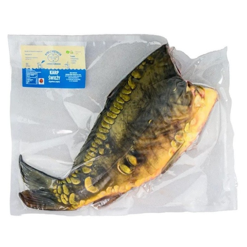 KARP ŚWIEŻY TUSZA (około 1,20 kg) - SMOLIN FISH (NA ZAMÓWIENIE)
