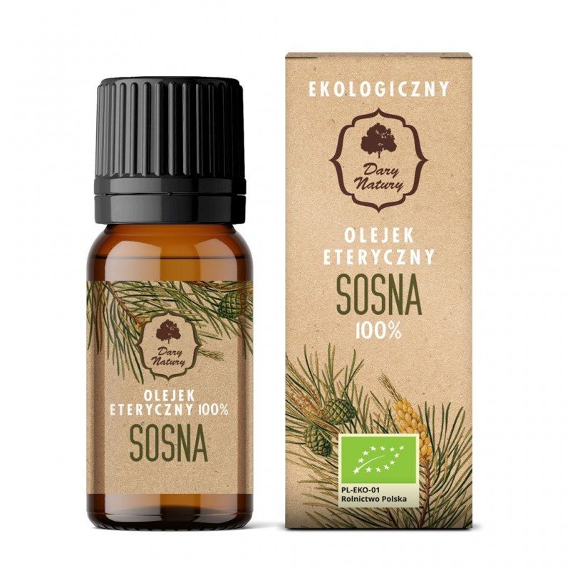 OLEJEK ETERYCZNY SOSNA BIO 10 ml - DARY NATURY
