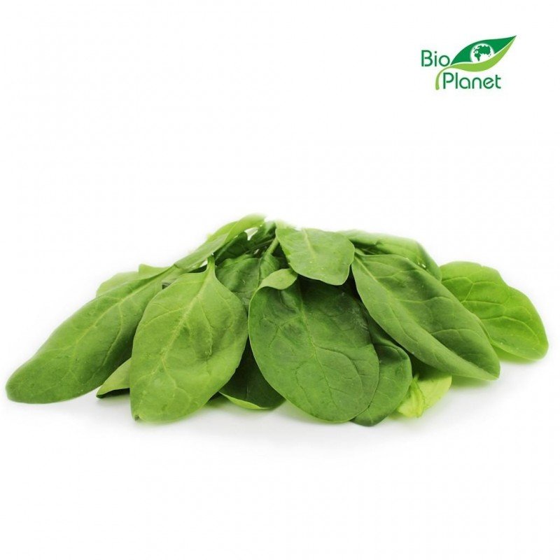 SZPINAK ŚWIEŻY NIEMYTY BIO (POLSKA) (około 0,10 kg)