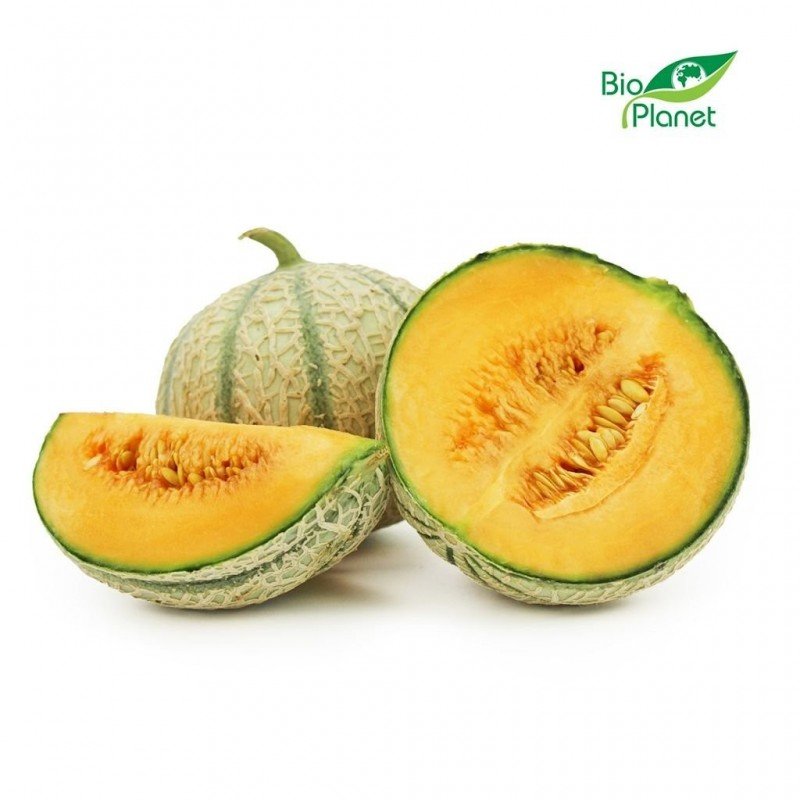 MELON ŚWIEŻY BIO (około 1,20 kg)