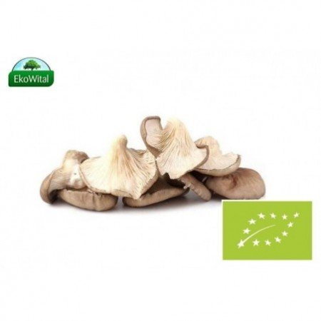 Grzyb BOCZNIAK BIO 200 g # - WARZYWA I OWOCE