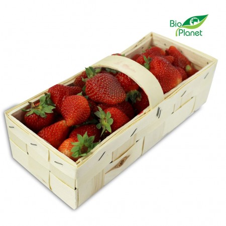 TRUSKAWKA ŚWIEŻA BIO (POLSKA) (opakowanie ok. 1,00 kg)